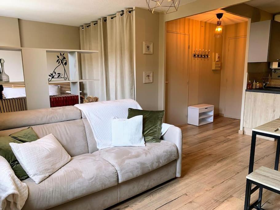 Appartement Cosy Proche Centre 德拉吉尼昂 外观 照片