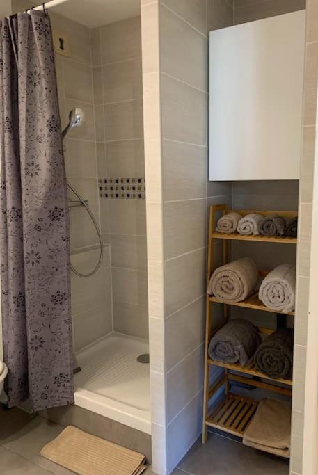 Appartement Cosy Proche Centre 德拉吉尼昂 外观 照片